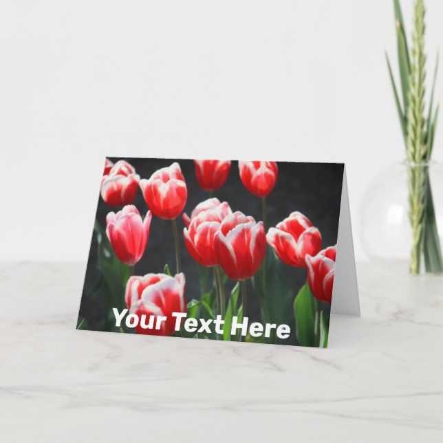 Customisable red and white tulips card (Front)