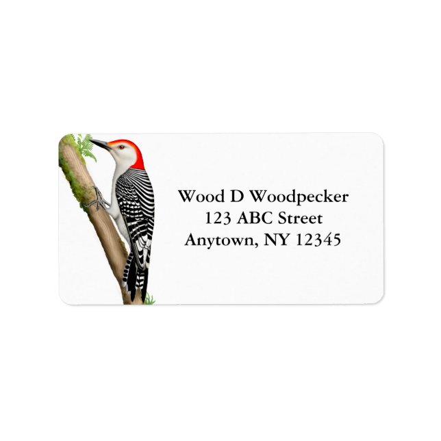 Customisable Red Bellied Woodpecker Label (Front)