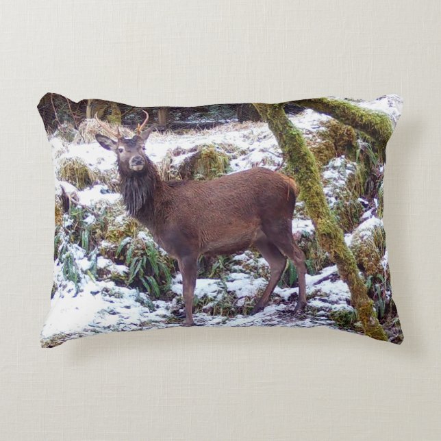 Customisable Red Deer Stag in Snow Cushion (Front)