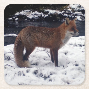 Customisable Red Fox in Snow Nature Square Paper Coaster