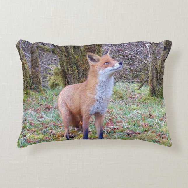 Customisable Red Fox Looking Up Cushion (Front)