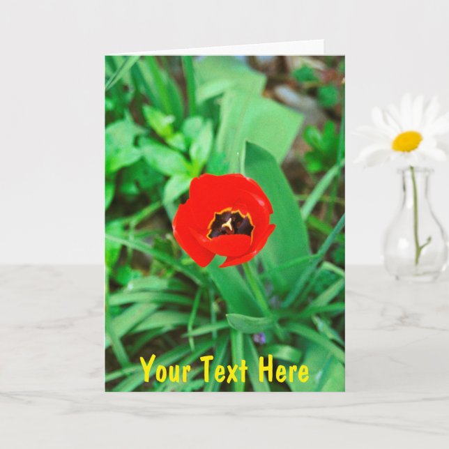 Customisable red tulip card (Small Plant)