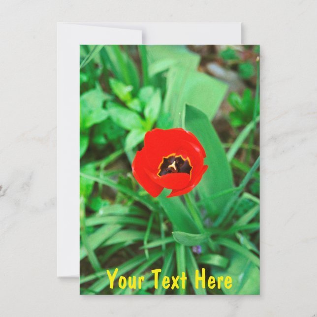 Customisable red tulip card (Front)
