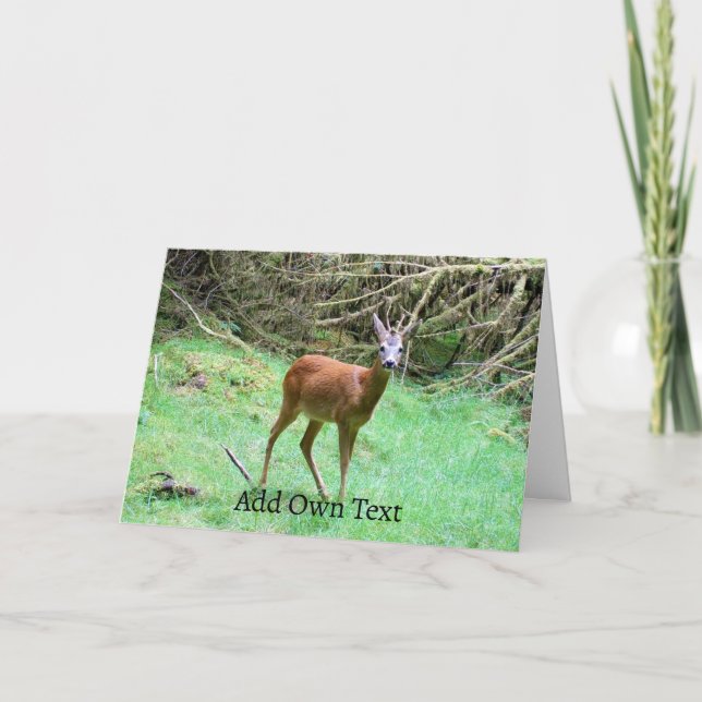 Customisable Roe Deer Buck Greeting Card  (Front)