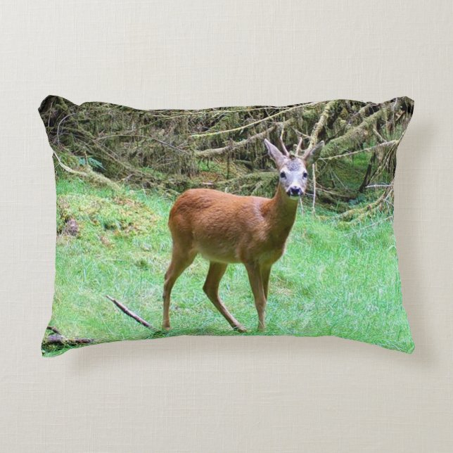 Customisable Roe Deer Buck Posing Decorative Cushion (Front)