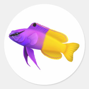 Customisable Royal Gramma Reef Fish Sticker