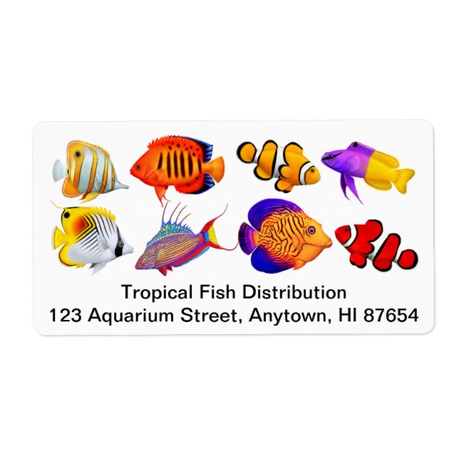 Customisable Saltwater Marine Aquarium Fish Label (Front)