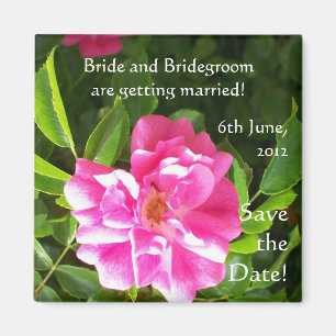 Customisable 'Save the Date' Magnet, Pink Roses Magnet