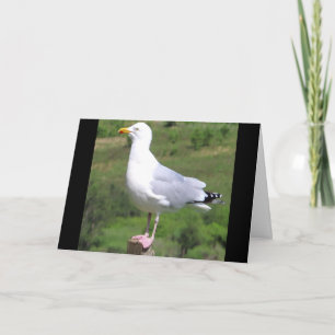 Customisable Seagull Standing On Post Greetings Card
