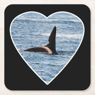 Customisable Shark Bite Fin John Coe Orca  Square Paper Coaster