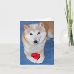 Customisable Shiba Inu Dog with Red Heart Holiday Card