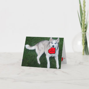 Customisable Siberian Husky with Red Heart Holiday Card