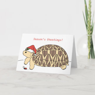 Customisable Star Tortoise Christmas Card