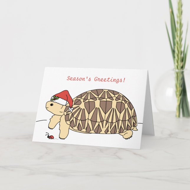 Customisable Star Tortoise Christmas Card (Front)