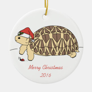Customisable Star Tortoise Ornament