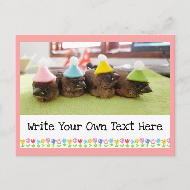 Customisable Text Cute Baby Bird Finch Finches Postcard (Front)