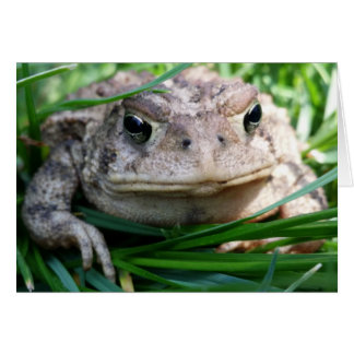 Customisable toad card