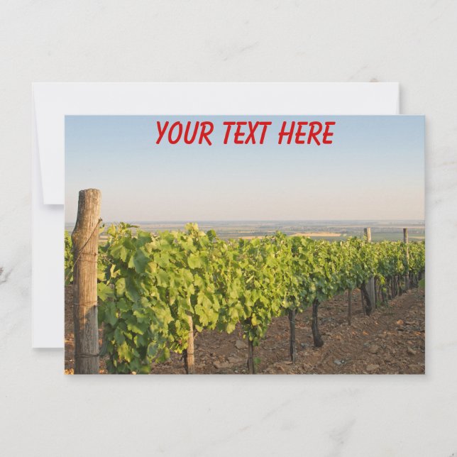 Customisable Tokaj vineyards, Hungary card (Front)