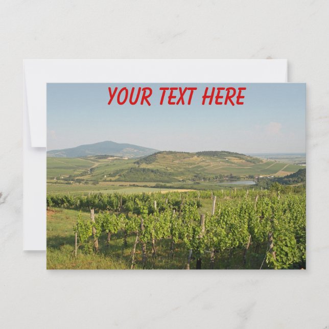 Customisable Tokaj vineyards, Hungary card (Front)