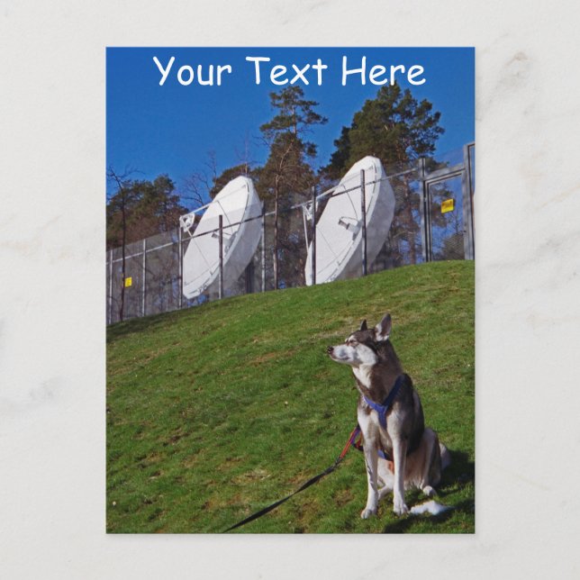 Customisable tracker dog postcard (Front)
