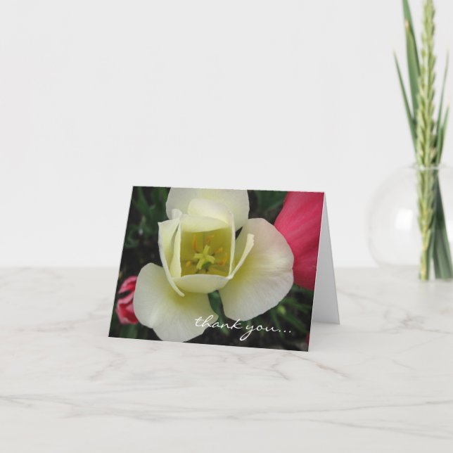 Customisable Tulip Card (Front)