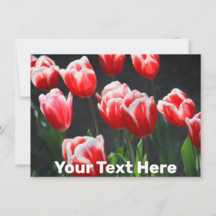 Customisable tulips Card