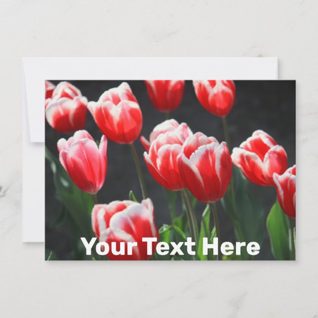 Customisable tulips Card (Front)