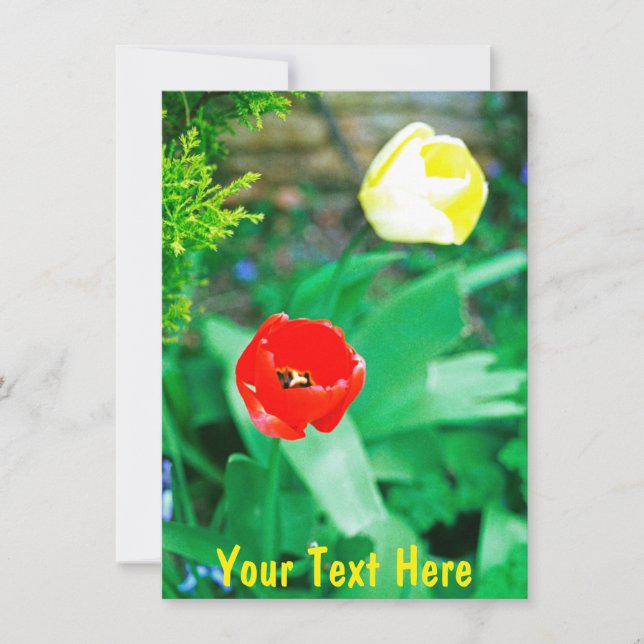 Customisable tulips card (Front)