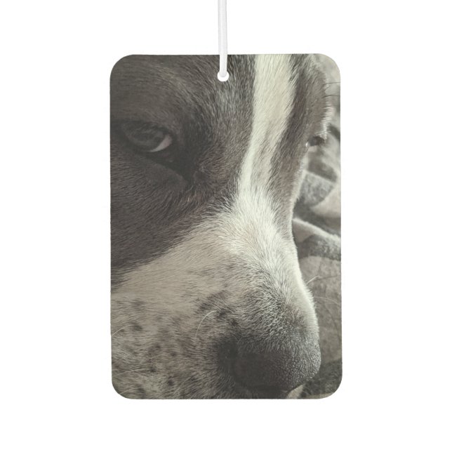 Customisable Two-Sided Photo Air Freshener (Front)