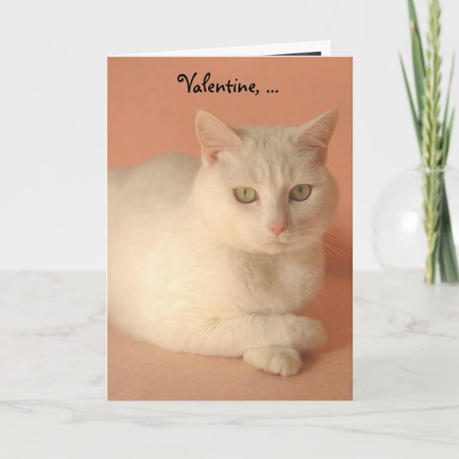 Customisable Valentine Cats Holiday Card (Front)