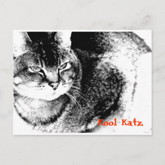 Customisable Vetinary Practice Reminder Postcard