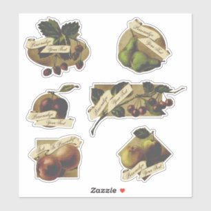 Customisable Vintage Fruit Home Made Canned Jam