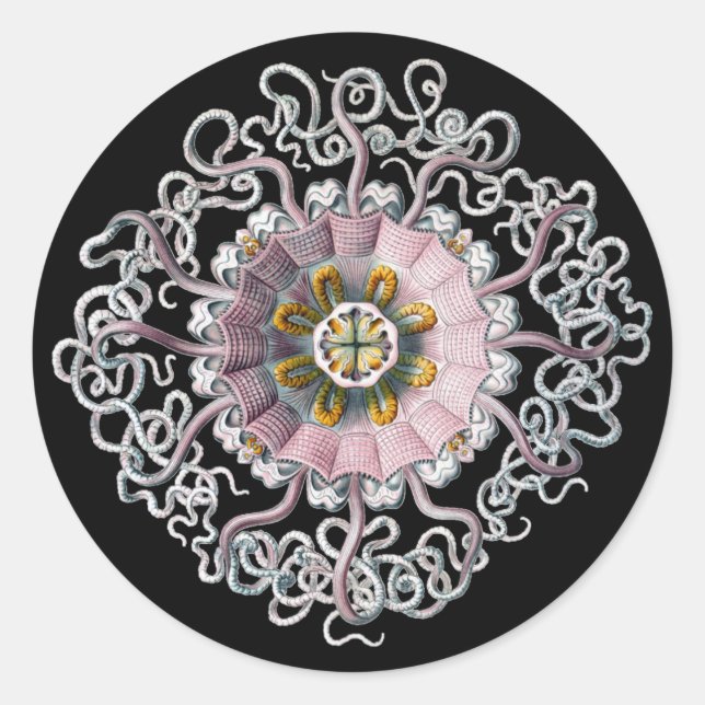 Customisable Vintage Haeckel Classic Round Sticker (Front)