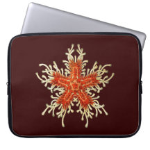 Customisable Vintage Haeckel Starfish