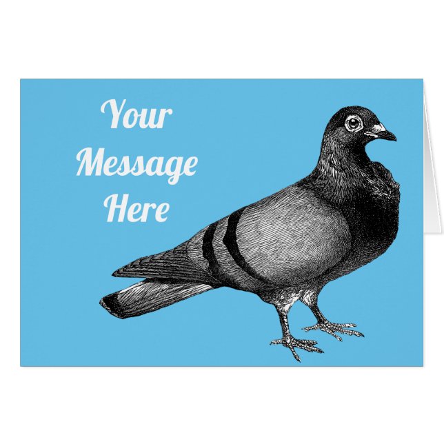Customisable Vintage pigeon (Front Horizontal)