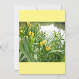 Customisable Wedding Invitations Template