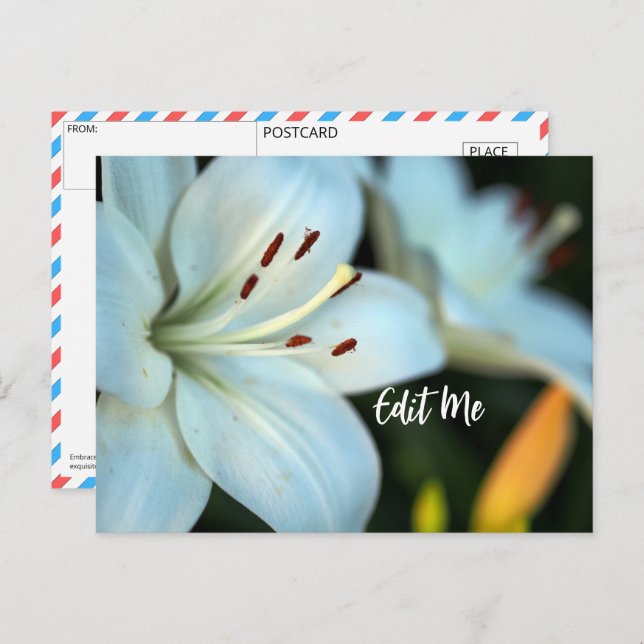 Customisable White Lily Postcard (Front/Back)