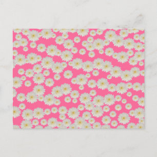 Customisable White Mums Postcard