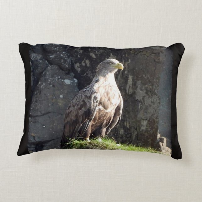 Customisable White-Tailed Eagle on Rock  Decorative Cushion (Back)