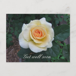 Customisable Yellow Rose Greeting Postcard