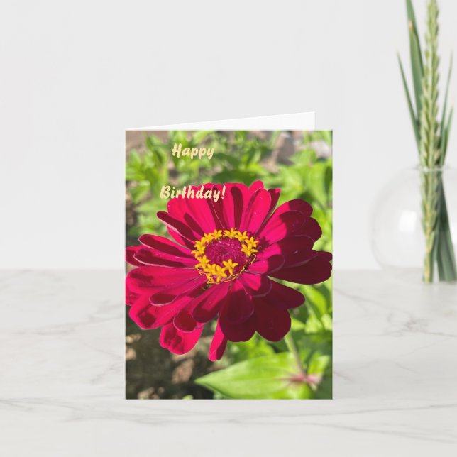 Customisable Zinnia Flower  Card (Front)