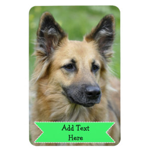 Customise a Family Pet Photo Magnet Add Text