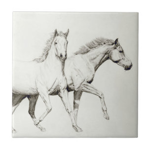 Customise a Horse Tile