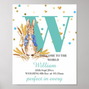 Customise Baby Boy Birth Poster