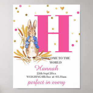 Customise Baby Girl Birth Poster