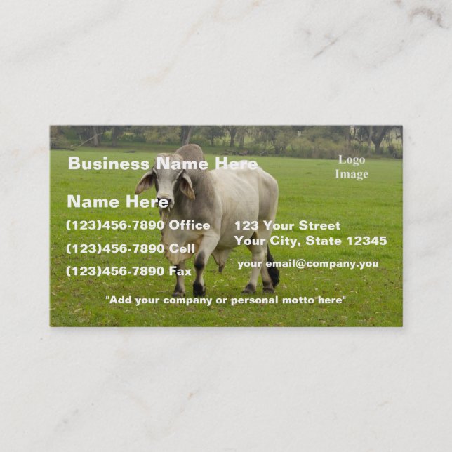 (Customise) Brahman (aka. Brahma) Bull in Field Business Card (Front)