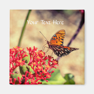 Customise butterfly magnet
