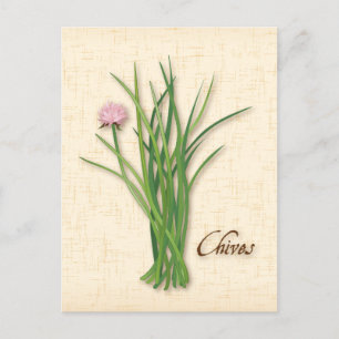 Customise Chives Herb Postcard