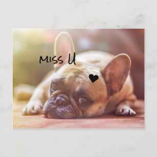 Customise Cute Doggy Postcard