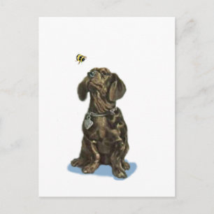 Customise Dachshund and bee vintage art gifts Postcard